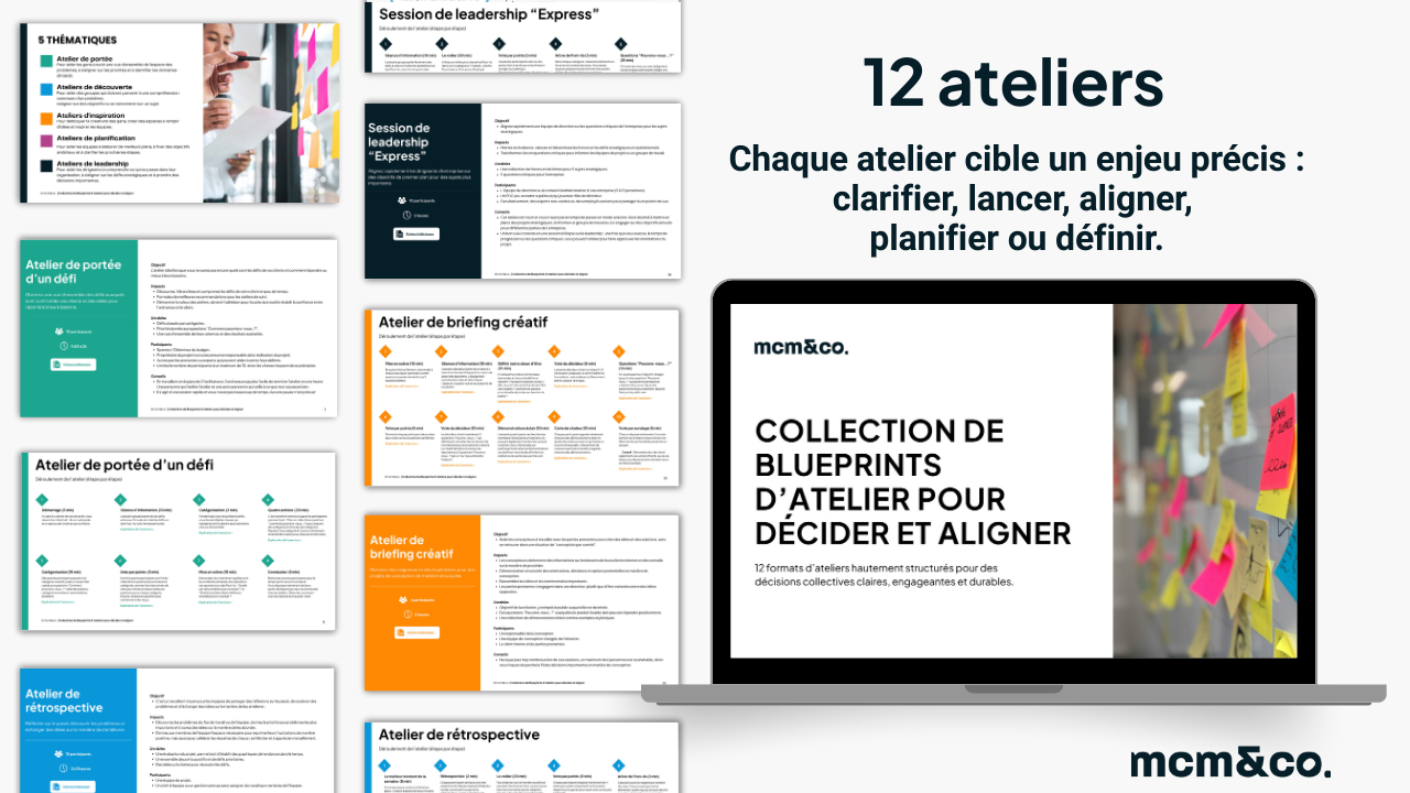 Les 12 ateliers de la collection?